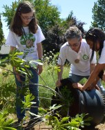 Climate Justice Ambassador Miko Vergun and Michael Foster showing how to get a tree out of a pot - with Tory.jpg