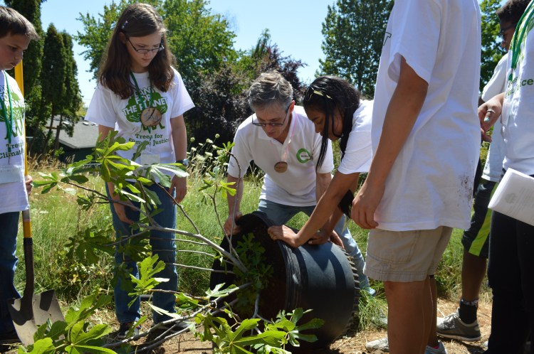 Climate Justice Ambassador Miko Vergun and Michael Foster showing how to get a tree out of a pot